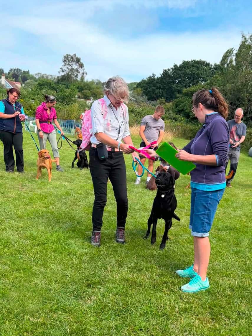 Dogs and their guardians at a dog training session with Fairlight Dog Training covering Nailsea, Clevedon, Portishead